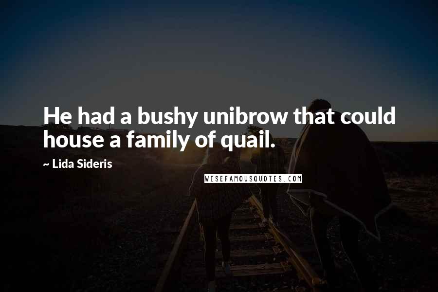 Lida Sideris Quotes: He had a bushy unibrow that could house a family of quail.