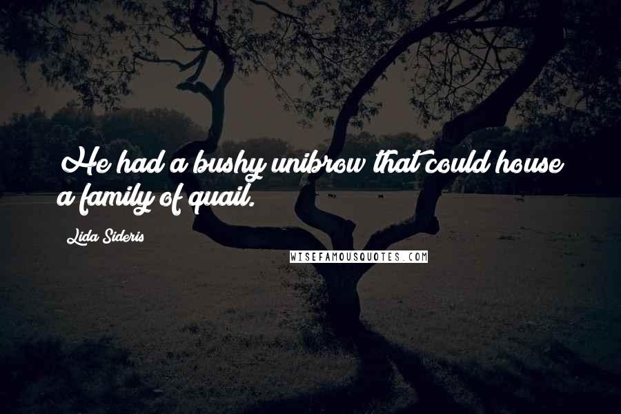 Lida Sideris Quotes: He had a bushy unibrow that could house a family of quail.