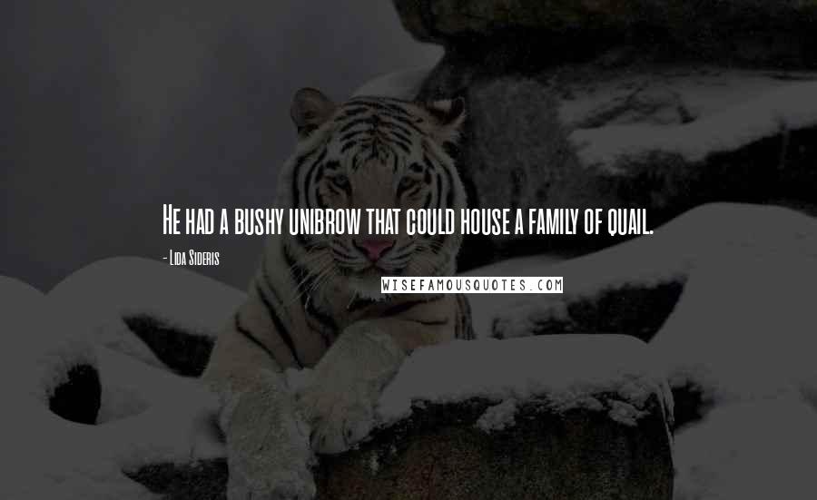 Lida Sideris Quotes: He had a bushy unibrow that could house a family of quail.