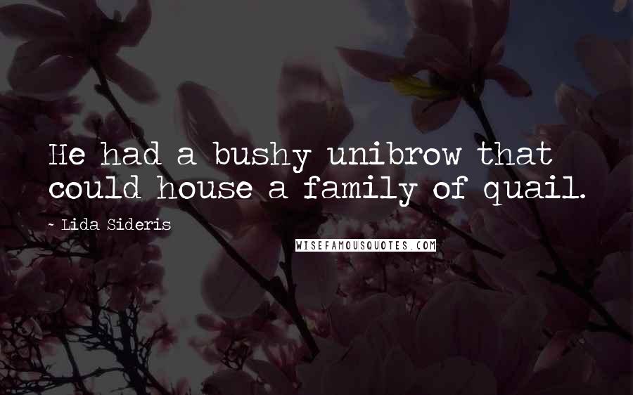 Lida Sideris Quotes: He had a bushy unibrow that could house a family of quail.