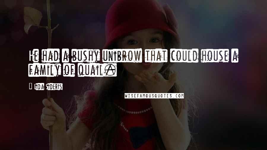 Lida Sideris Quotes: He had a bushy unibrow that could house a family of quail.