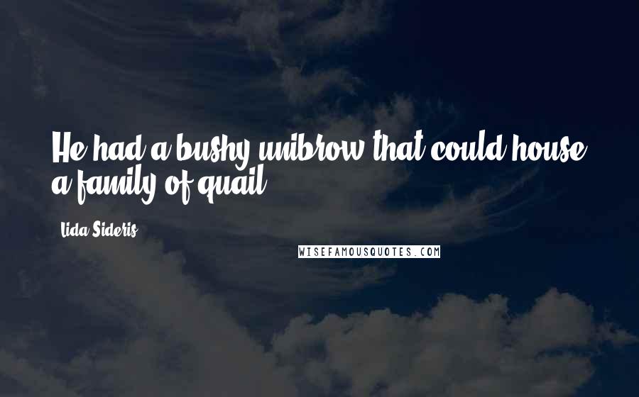 Lida Sideris Quotes: He had a bushy unibrow that could house a family of quail.