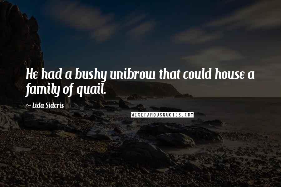 Lida Sideris Quotes: He had a bushy unibrow that could house a family of quail.