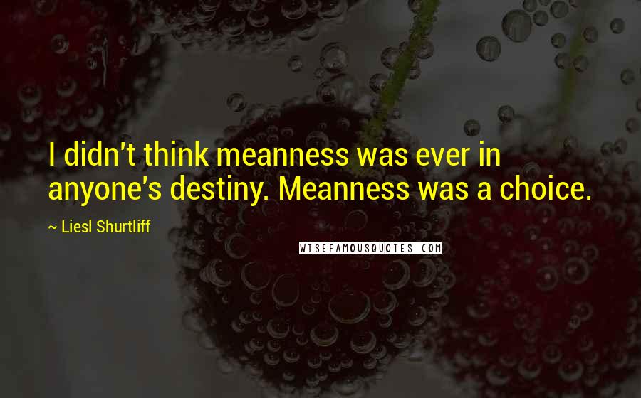 Liesl Shurtliff Quotes: I didn't think meanness was ever in anyone's destiny. Meanness was a choice.