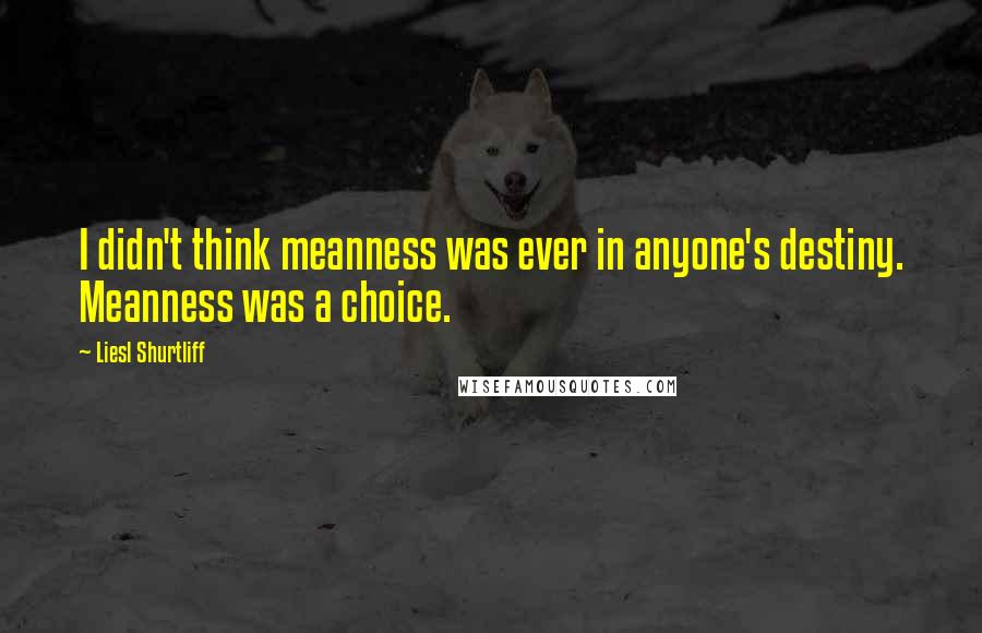 Liesl Shurtliff Quotes: I didn't think meanness was ever in anyone's destiny. Meanness was a choice.