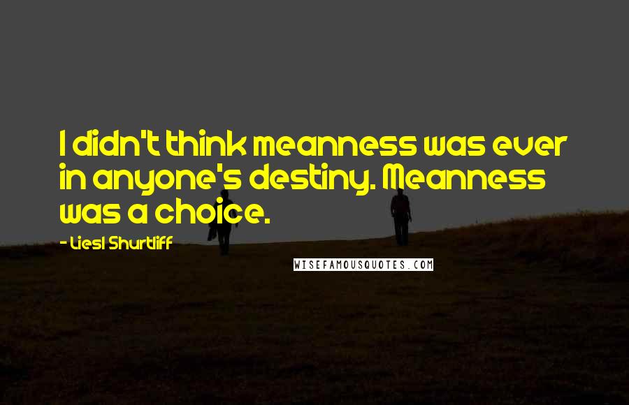 Liesl Shurtliff Quotes: I didn't think meanness was ever in anyone's destiny. Meanness was a choice.