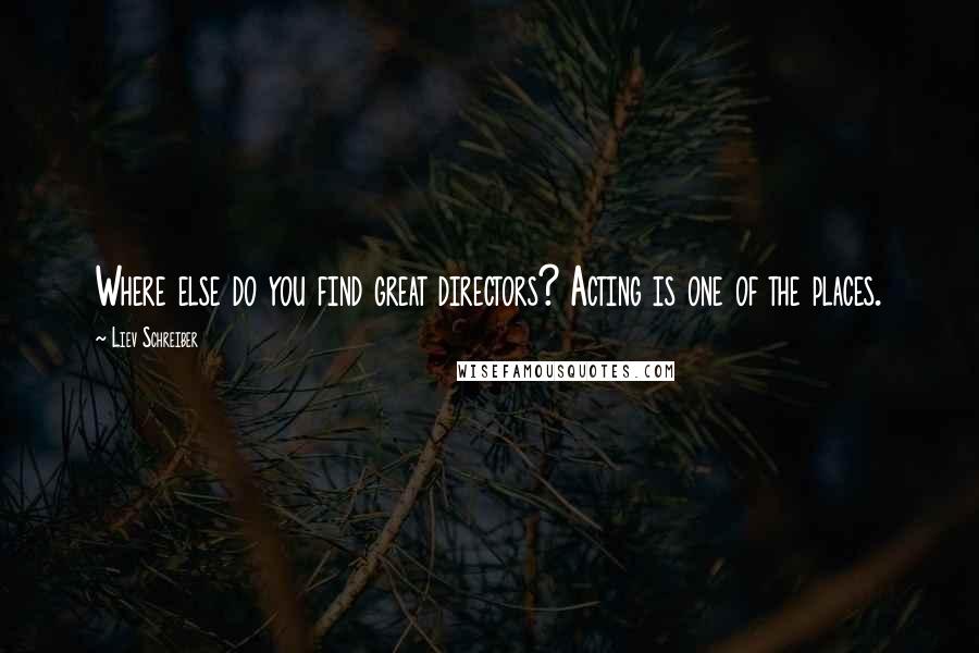Liev Schreiber Quotes: Where else do you find great directors? Acting is one of the places.