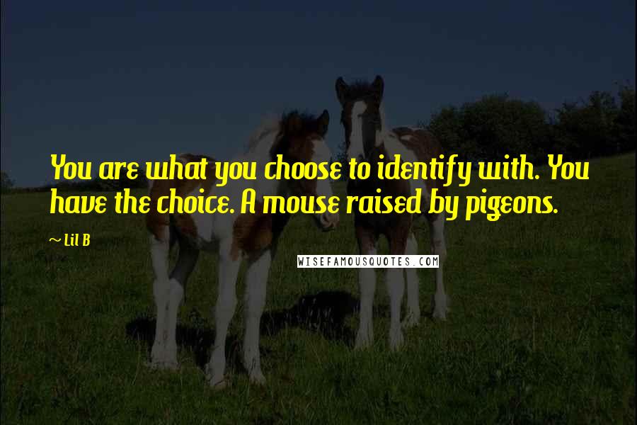 Lil B Quotes: You are what you choose to identify with. You have the choice. A mouse raised by pigeons.