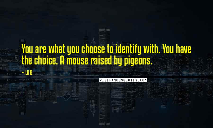 Lil B Quotes: You are what you choose to identify with. You have the choice. A mouse raised by pigeons.