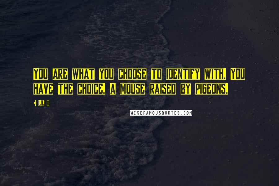 Lil B Quotes: You are what you choose to identify with. You have the choice. A mouse raised by pigeons.