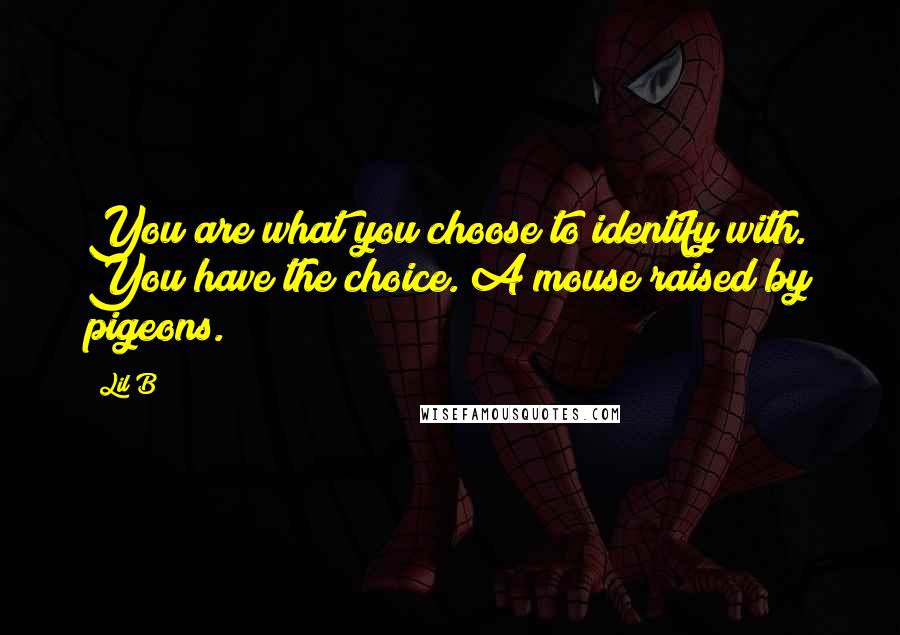 Lil B Quotes: You are what you choose to identify with. You have the choice. A mouse raised by pigeons.