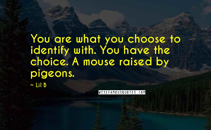 Lil B Quotes: You are what you choose to identify with. You have the choice. A mouse raised by pigeons.