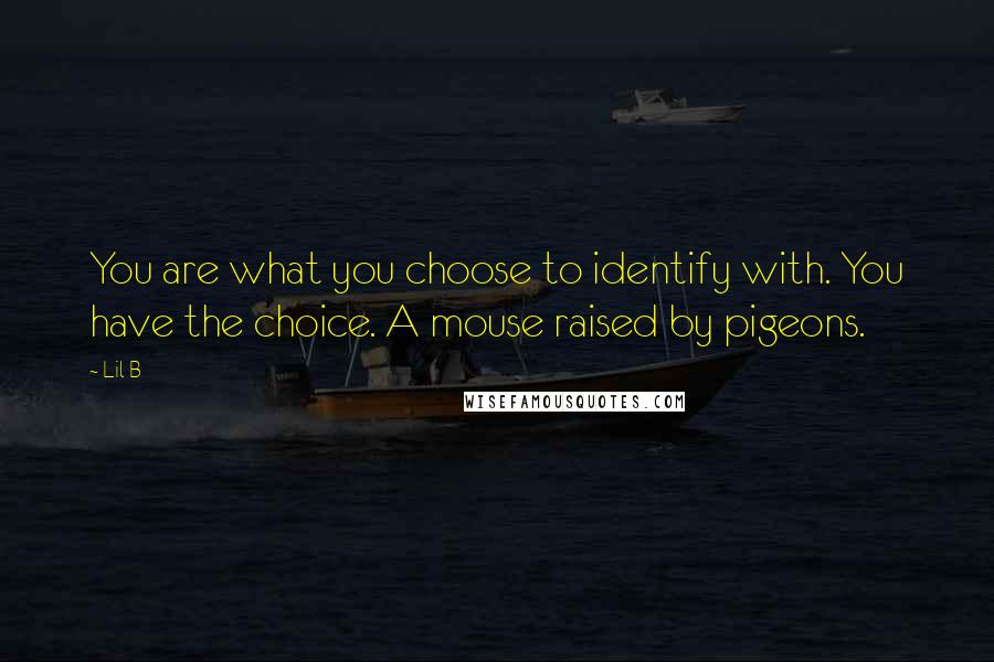 Lil B Quotes: You are what you choose to identify with. You have the choice. A mouse raised by pigeons.