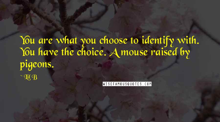 Lil B Quotes: You are what you choose to identify with. You have the choice. A mouse raised by pigeons.