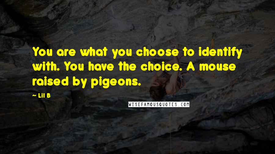 Lil B Quotes: You are what you choose to identify with. You have the choice. A mouse raised by pigeons.