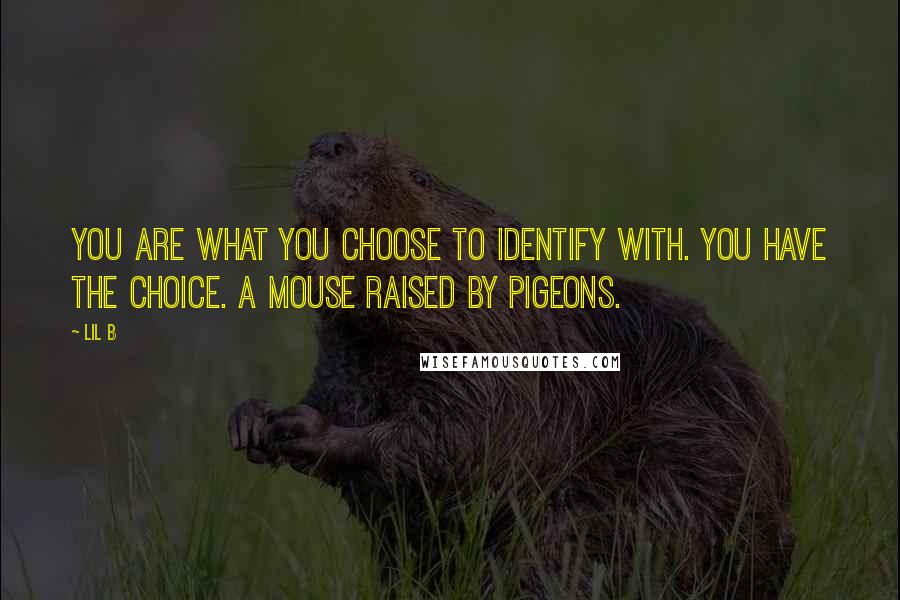 Lil B Quotes: You are what you choose to identify with. You have the choice. A mouse raised by pigeons.