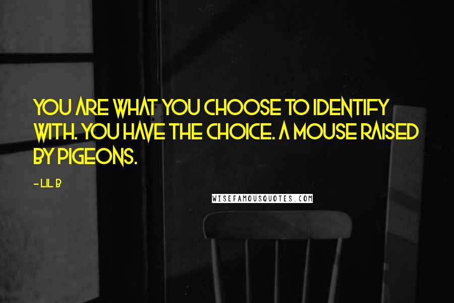 Lil B Quotes: You are what you choose to identify with. You have the choice. A mouse raised by pigeons.