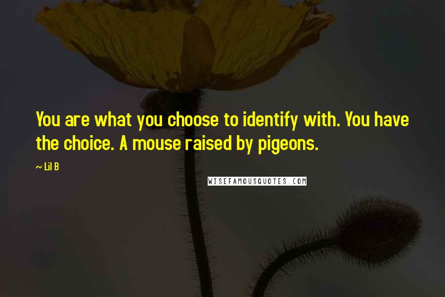 Lil B Quotes: You are what you choose to identify with. You have the choice. A mouse raised by pigeons.