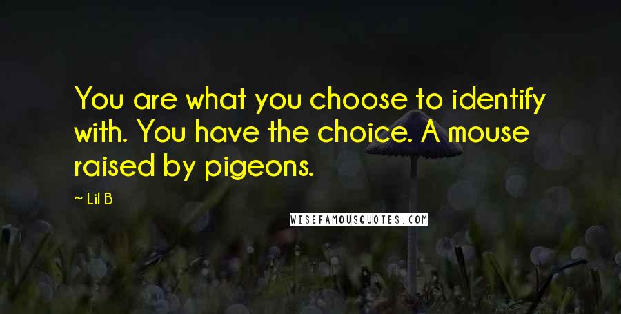 Lil B Quotes: You are what you choose to identify with. You have the choice. A mouse raised by pigeons.