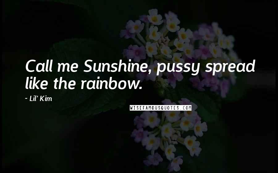 Lil' Kim Quotes: Call me Sunshine, pussy spread like the rainbow.