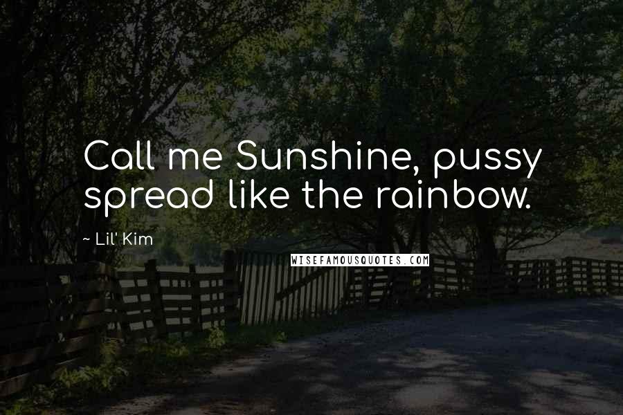 Lil' Kim Quotes: Call me Sunshine, pussy spread like the rainbow.
