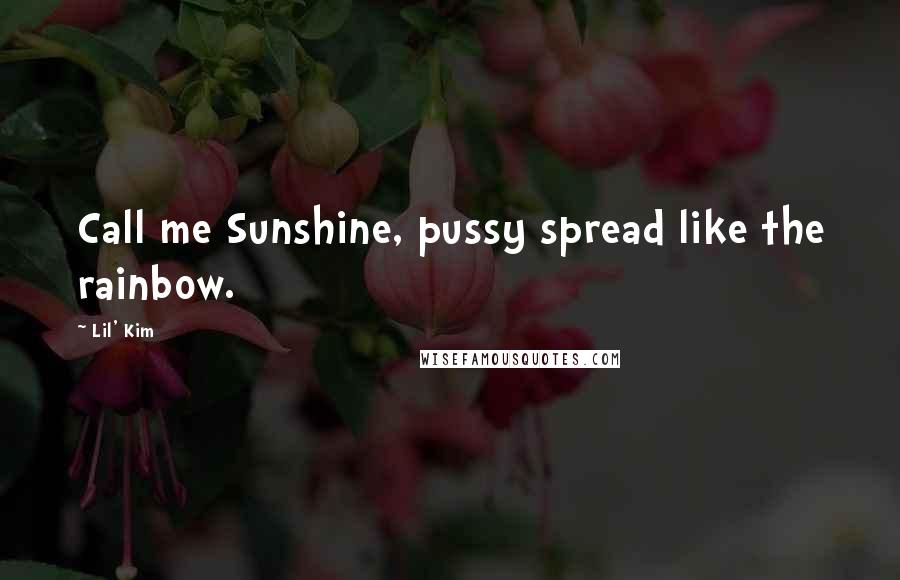 Lil' Kim Quotes: Call me Sunshine, pussy spread like the rainbow.