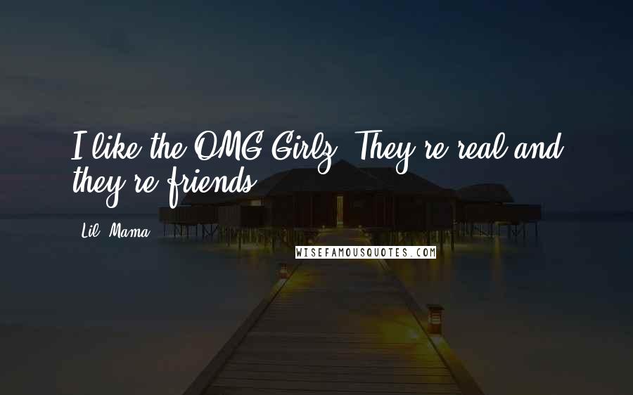 Lil' Mama Quotes: I like the OMG Girlz. They're real and they're friends.