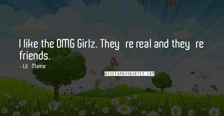 Lil' Mama Quotes: I like the OMG Girlz. They're real and they're friends.