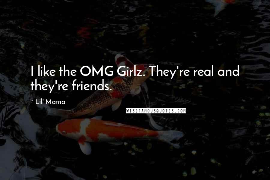 Lil' Mama Quotes: I like the OMG Girlz. They're real and they're friends.