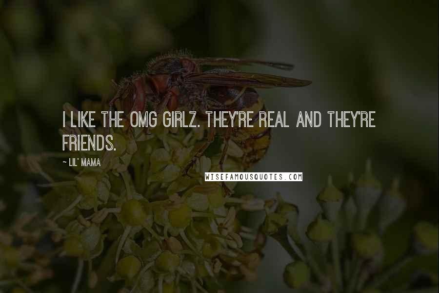 Lil' Mama Quotes: I like the OMG Girlz. They're real and they're friends.