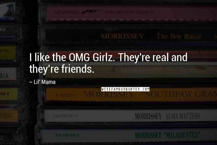 Lil' Mama Quotes: I like the OMG Girlz. They're real and they're friends.