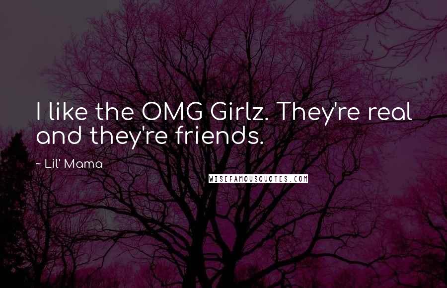 Lil' Mama Quotes: I like the OMG Girlz. They're real and they're friends.