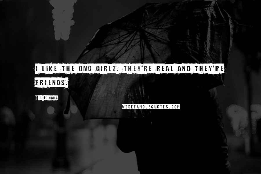Lil' Mama Quotes: I like the OMG Girlz. They're real and they're friends.