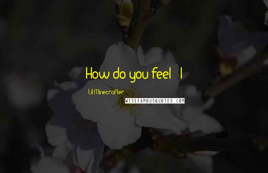 Lil Minecrafter Quotes: How do you feel?" I