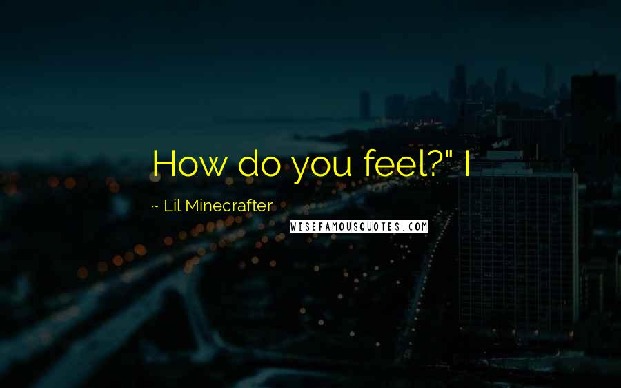 Lil Minecrafter Quotes: How do you feel?" I