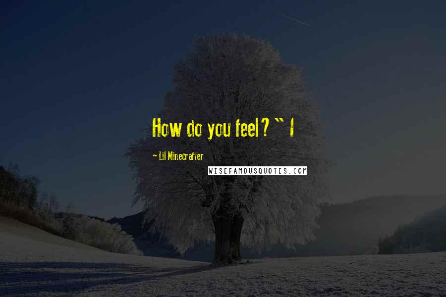 Lil Minecrafter Quotes: How do you feel?" I