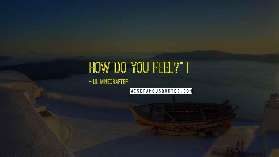 Lil Minecrafter Quotes: How do you feel?" I
