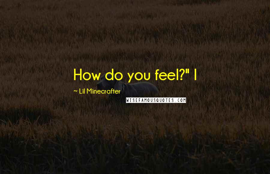 Lil Minecrafter Quotes: How do you feel?" I