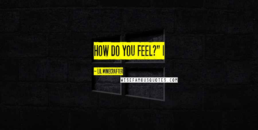 Lil Minecrafter Quotes: How do you feel?" I