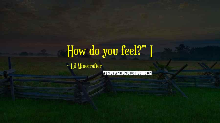 Lil Minecrafter Quotes: How do you feel?" I