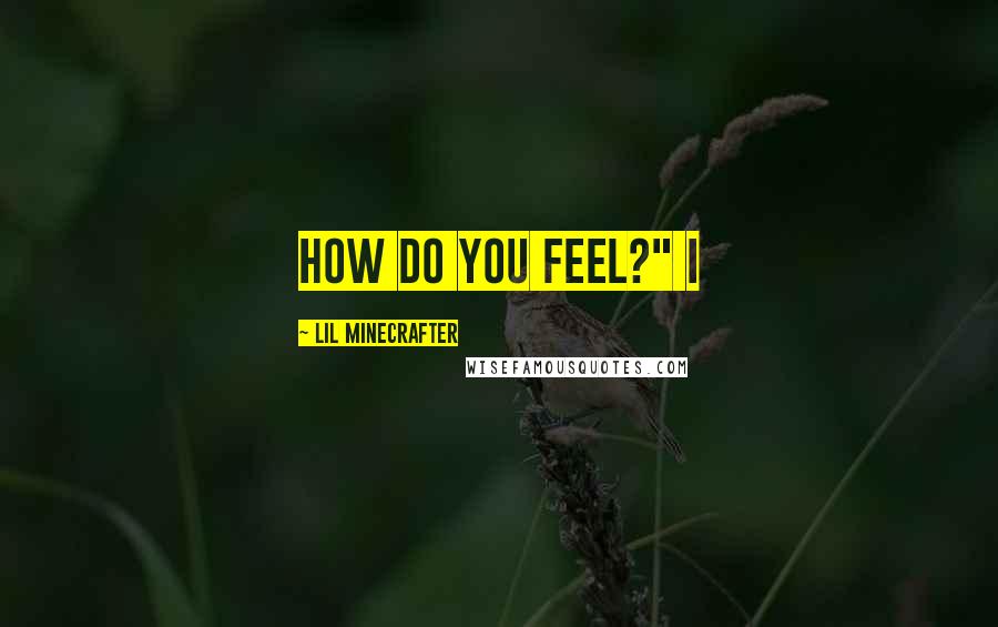 Lil Minecrafter Quotes: How do you feel?" I