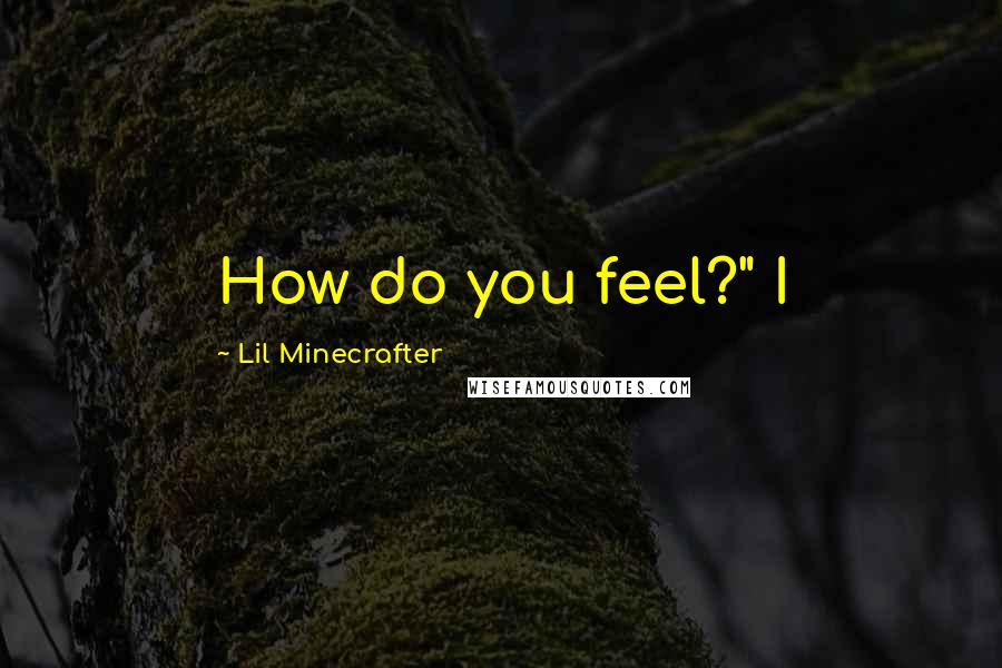 Lil Minecrafter Quotes: How do you feel?" I