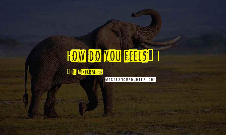 Lil Minecrafter Quotes: How do you feel?" I