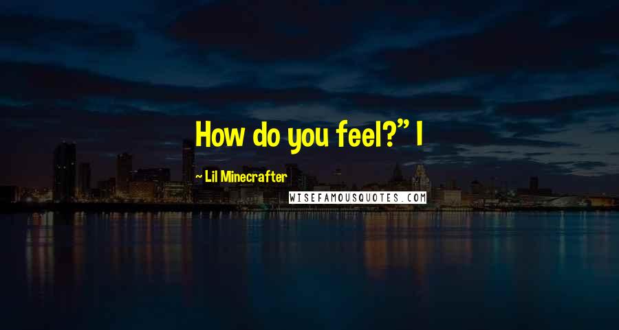 Lil Minecrafter Quotes: How do you feel?" I