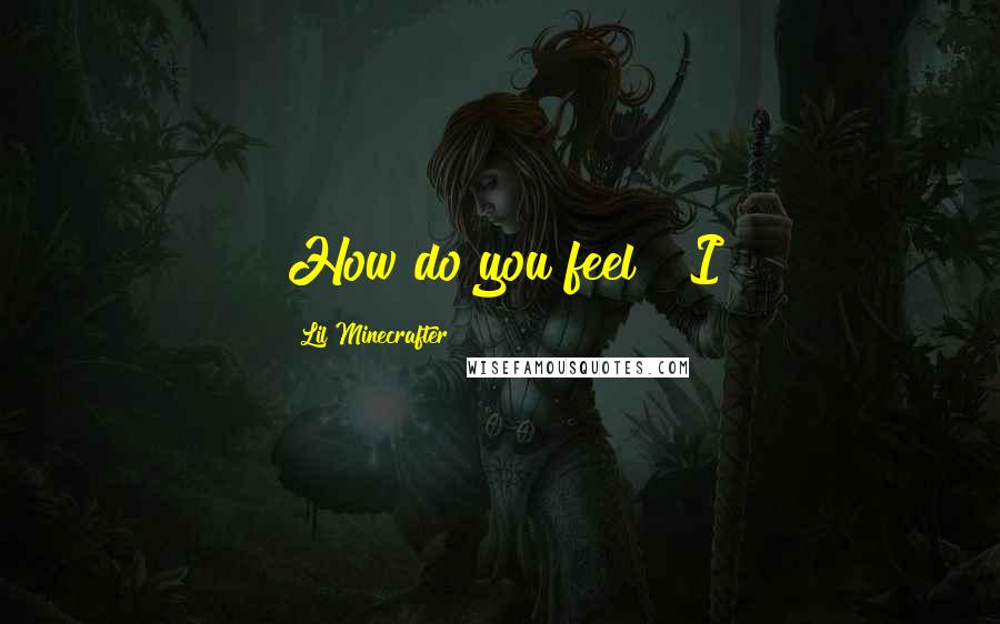 Lil Minecrafter Quotes: How do you feel?" I