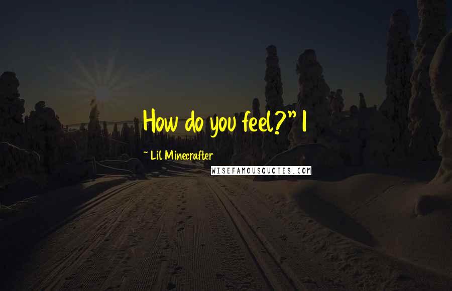 Lil Minecrafter Quotes: How do you feel?" I