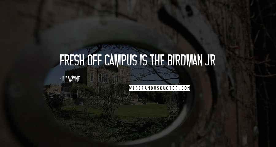 Lil' Wayne Quotes: Fresh off campus is the Birdman JR