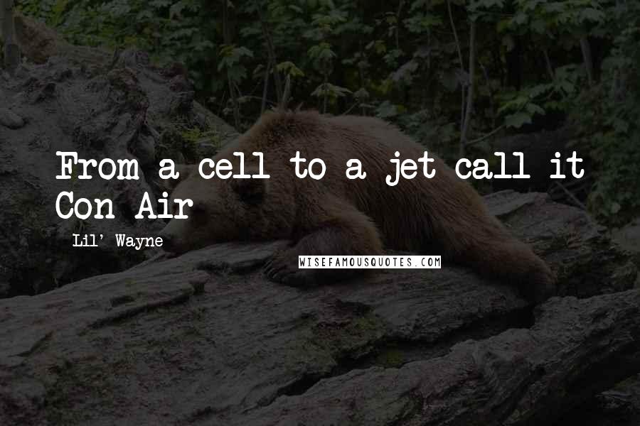 Lil' Wayne Quotes: From a cell to a jet call it Con-Air