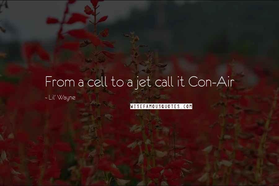 Lil' Wayne Quotes: From a cell to a jet call it Con-Air