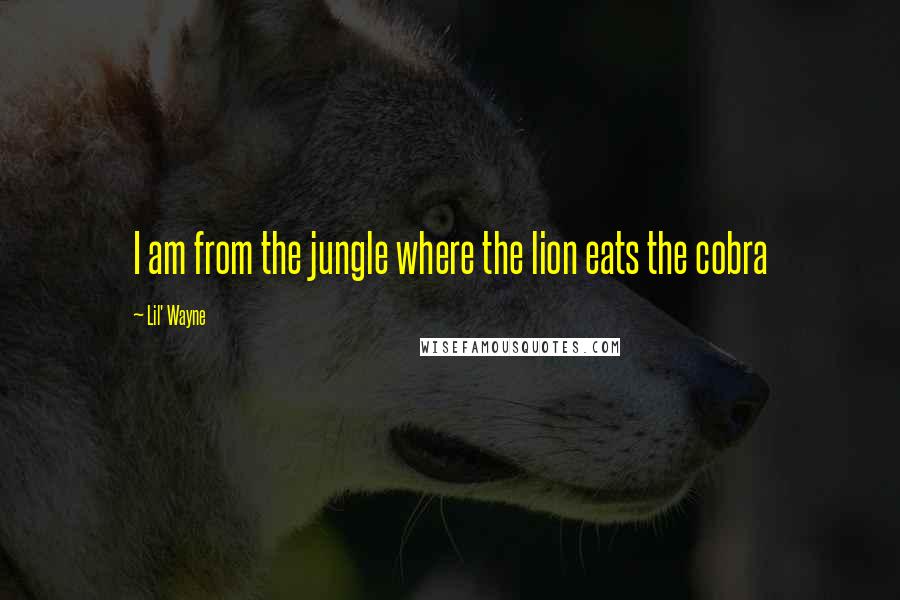 Lil' Wayne Quotes: I am from the jungle where the lion eats the cobra